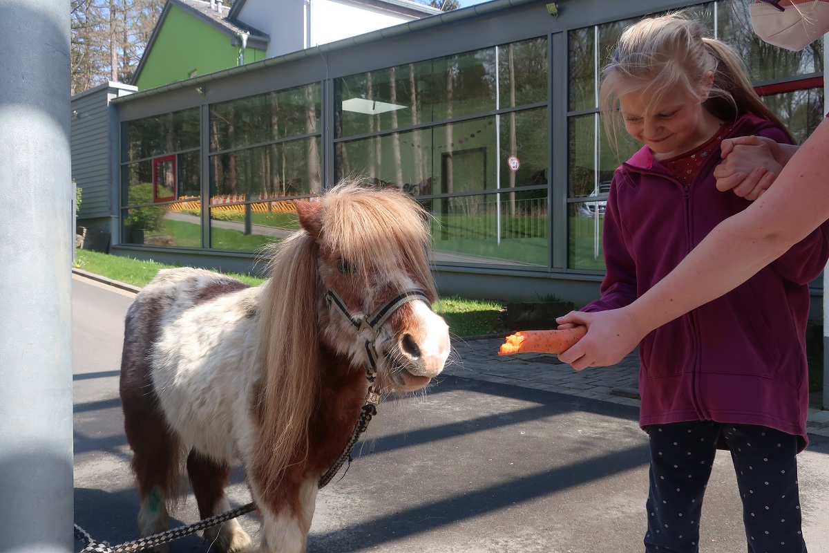 MobileTierfarm4222